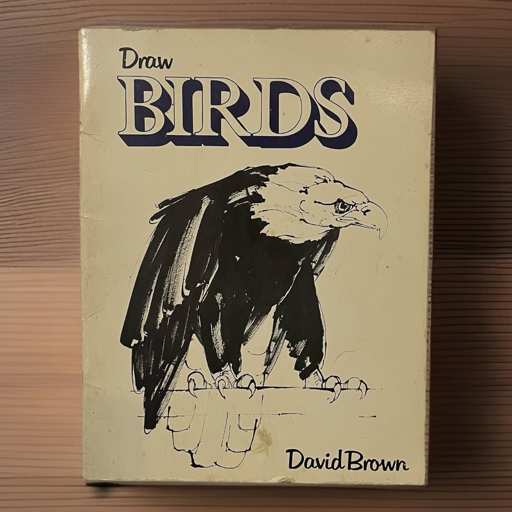 Draw BIRDS Drawing Instruction Book David Brown Paperback Guide Artist 1979 VTG